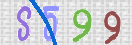 CAPTCHA 驗證圖片
