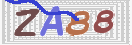 CAPTCHA 驗證圖片