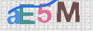 CAPTCHA 驗證圖片