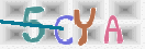 CAPTCHA 驗證圖片
