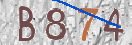 CAPTCHA 驗證圖片